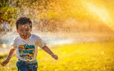 Vuoden 2019 jäsenjärjestöavustukset myönnetty
