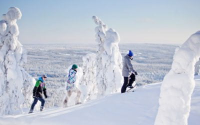 Kuukauden setlementti: Vuolle Setlementti – Yhteisiä kasvutarinoita jo 75 vuotta!